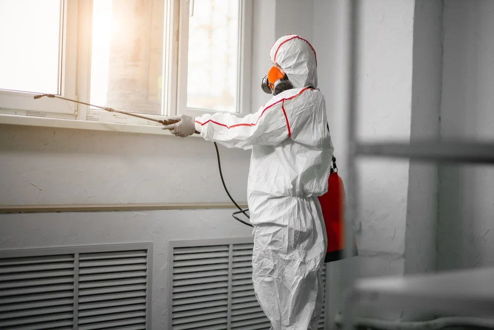 Professional mold remediation services in Silver Springs, NV